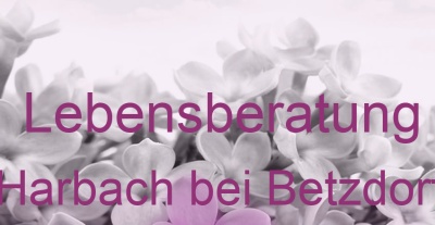 Lebensberatung Harbach bei Betzdorf | Top-Experten für Kartenlegen, Wahrsagen, Hellsehen, Zukunftsdeutung. Lebensberatung Harbach bei Betzdorf | Top-Experten für Kartenlegen, Wahrsagen, Hellsehen, Zukunftsdeutung.